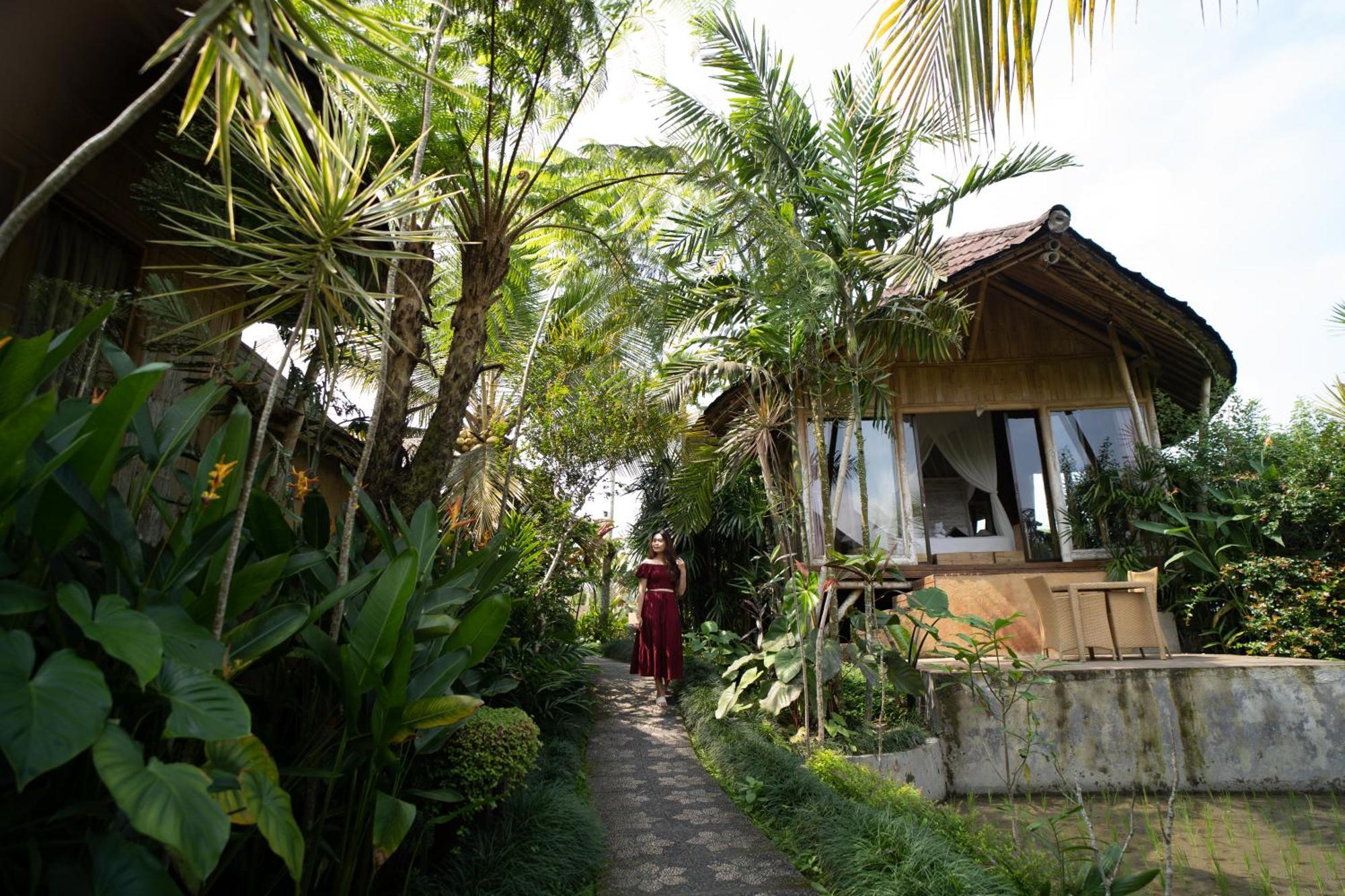 Padi Bali Retreat Hotel Payangan Luaran gambar