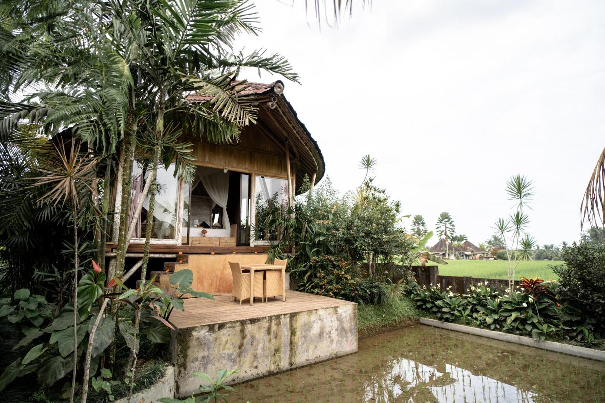 Padi Bali Retreat Hotel Payangan Luaran gambar