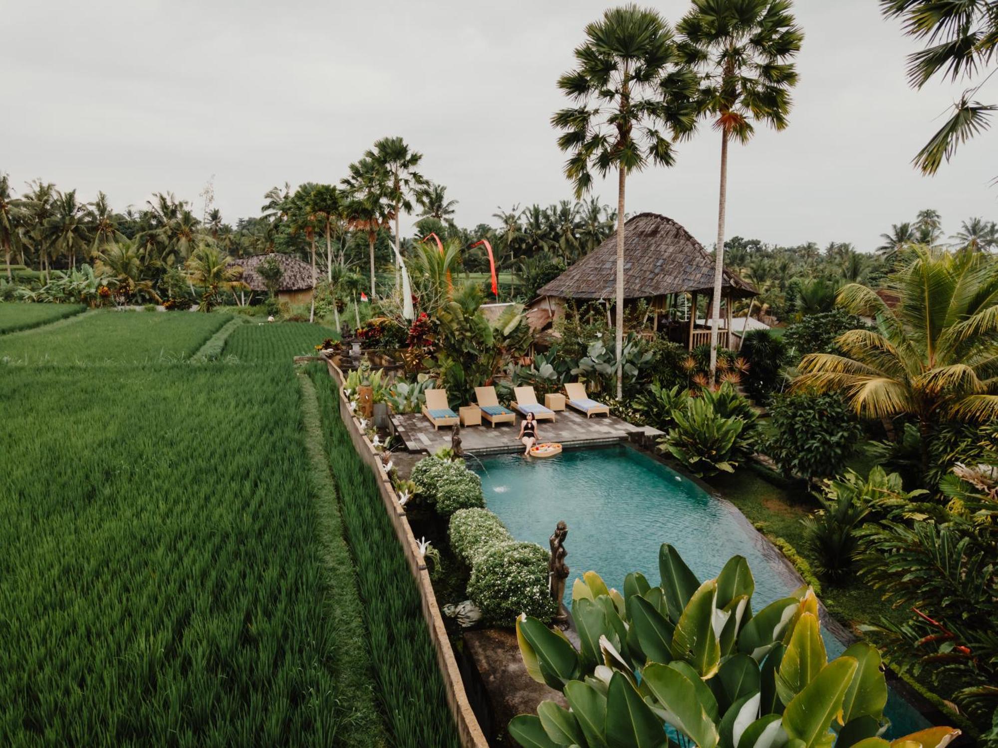 Padi Bali Retreat Hotel Payangan Luaran gambar