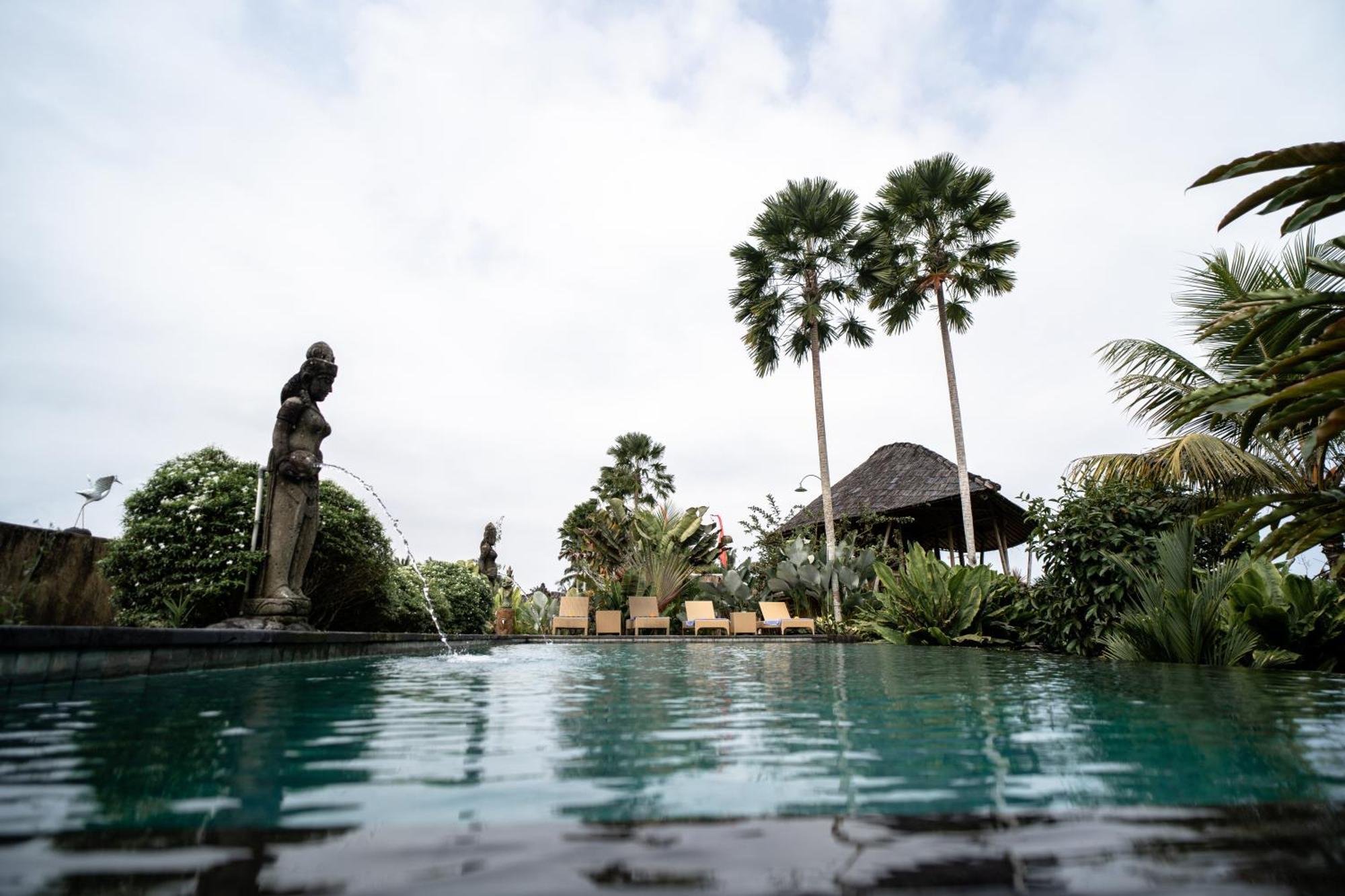 Padi Bali Retreat Hotel Payangan Luaran gambar