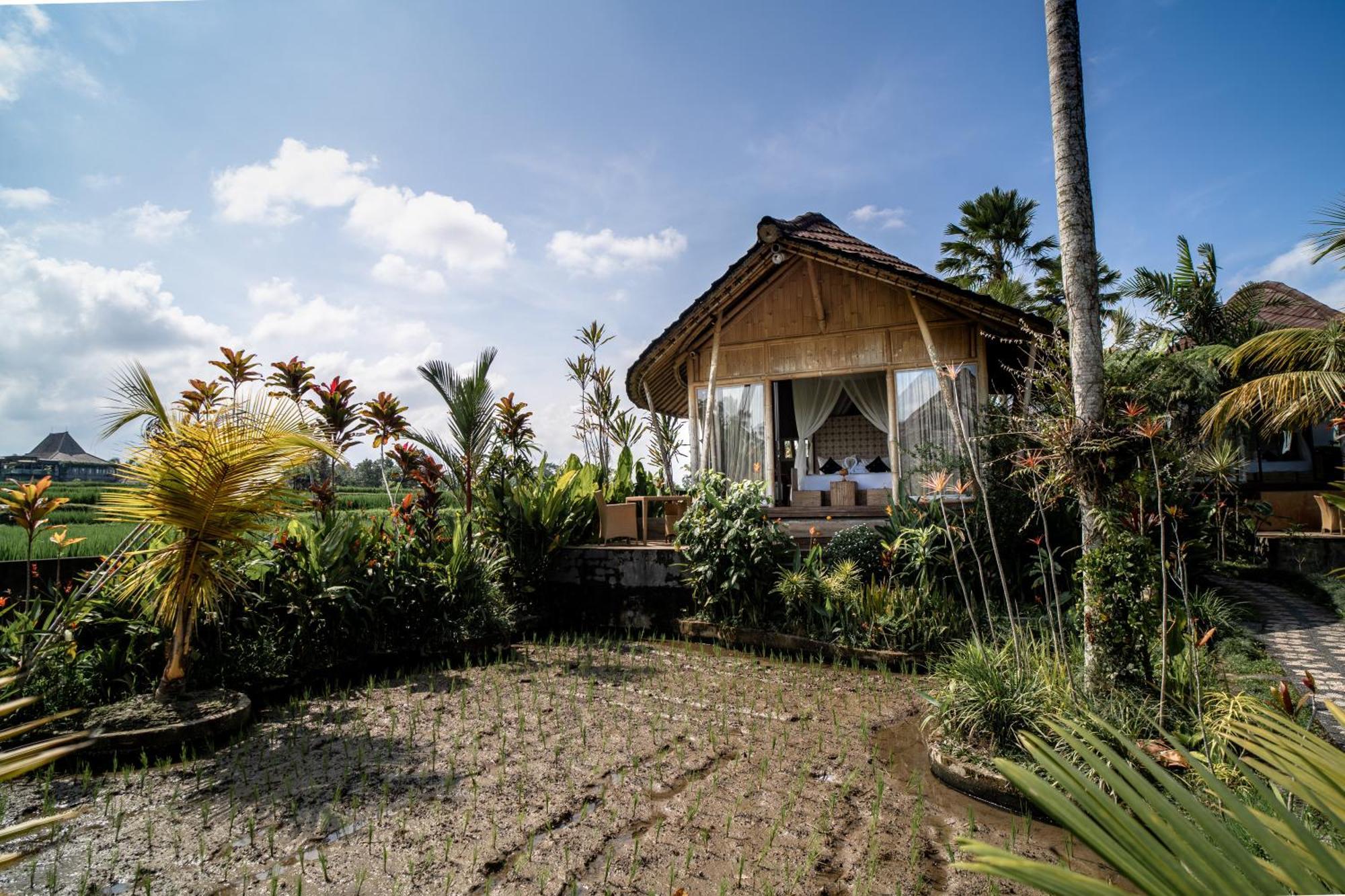 Padi Bali Retreat Hotel Payangan Luaran gambar