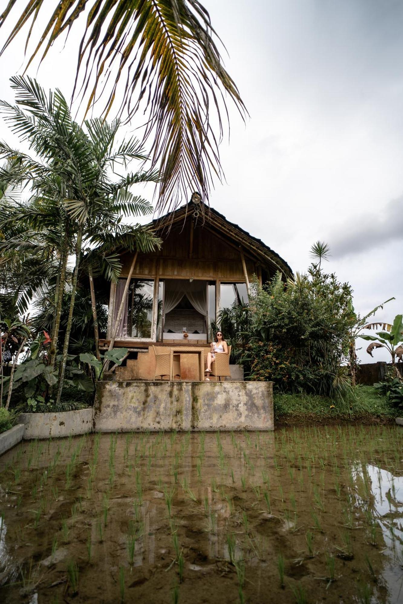 Padi Bali Retreat Hotel Payangan Luaran gambar
