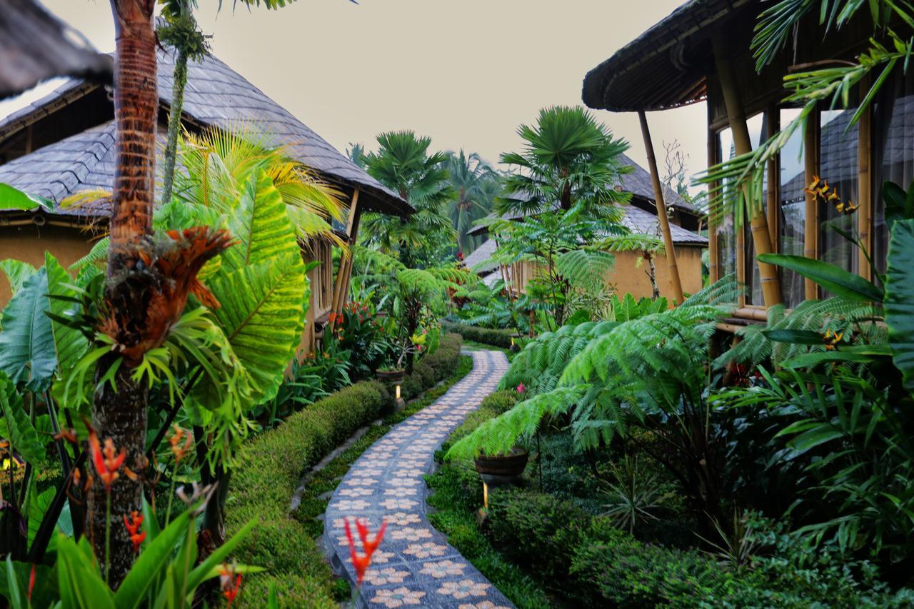 Padi Bali Retreat Hotel Payangan Luaran gambar